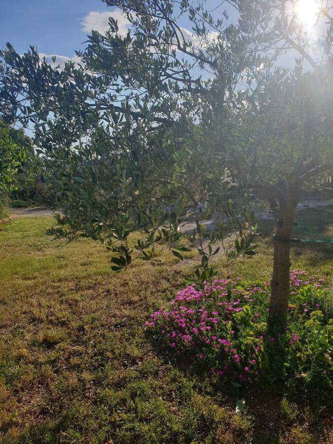 Apartmani Goga Seline Exteriör bild